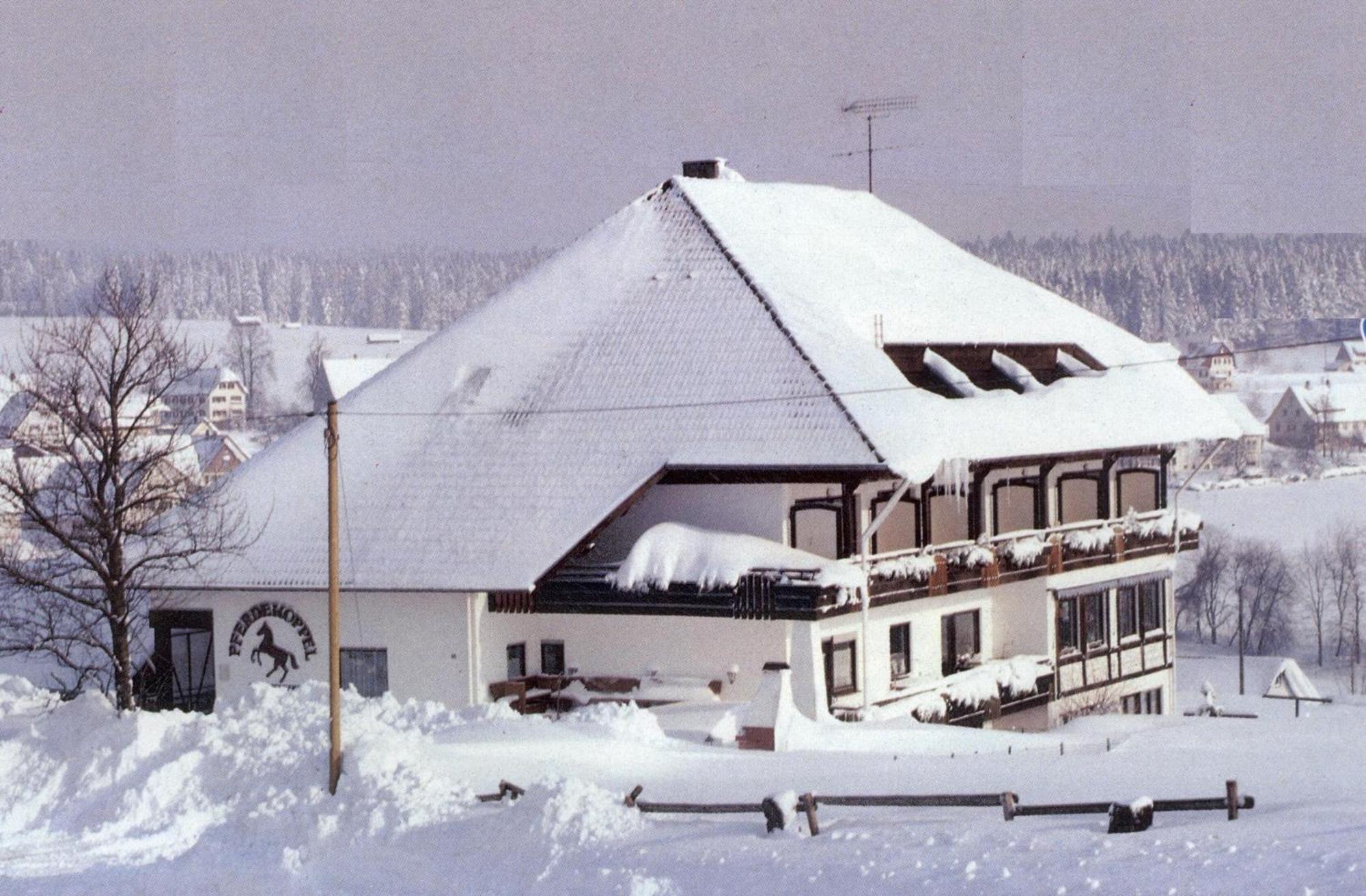 Landpension Pferdekoppel - B&B - Self Checkin Seewald エクステリア 写真
