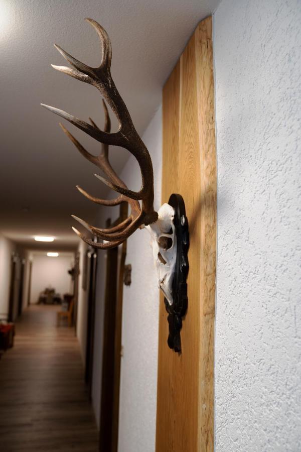 Landpension Pferdekoppel - B&B - Self Checkin Seewald エクステリア 写真